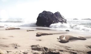 Почему ты не выживешь в пермском периоде?