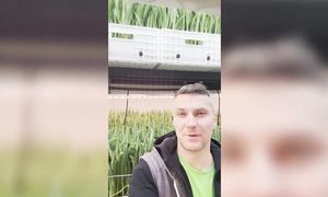 Закопал 30000$ ... Куда？？？