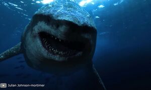 ЭТА Находка Поразила Ученых! Животные Гиганты, Которые Реально Существовали