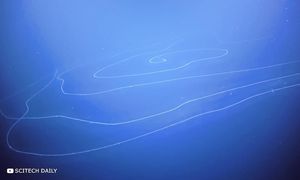 Самые Жуткие Существа в Истории, Которых Удалось Поймать