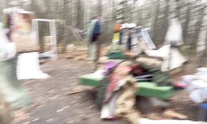 ДОМ в ЛЕСУ за ОДИН ДЕНЬ! РЕАКЦИЯ Лены УДИВИЛА даже МУСОРЩИКА  2 часть