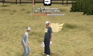 БАН ЗА ДЕНЬГИ в SAMP