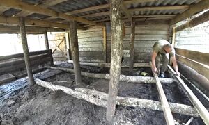 БЕЛОРУССКИЙ ОТШЕЛЬНИК ПЯТЬ ЛЕТ ЖИВЕТ ОДИН в ЛЕСУ. №318