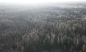 ЗИМОЙ ГОТОВЛЮ ТОЛЬКО в ПЕЧИ. ЖИЗНЬ в ГЛУХОЙ ДЕРЕВНЕ в ЛЕСУ. №328