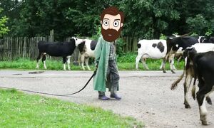 Приколы! ПОЛЬСКИЙ ФИЛЬМ  ЧУЖОЙ  - МЕМЫ!!! Смешные видео от – Доми шоу!