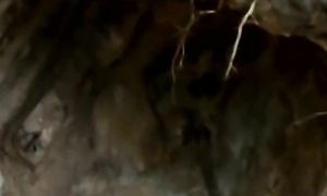 Прошло всего 80 лет а уже ничего не осталось. Находки которые заставляют задуматься.