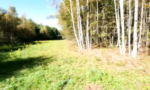 Есть! Думал никогда не найду её, она была совсем рядом!