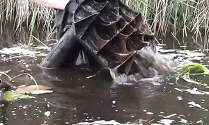 Вот он! Вырвал его из озера магнит и не знаю что теперь делать.