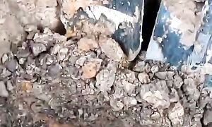 Их никто не мог найти, а нам позвонила бабушка и сказала где их искать.