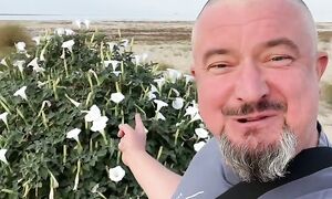 За что я люблю Казахстан #путешествие #казахстан #актау #каспий #aqtau #aktau #vanlife #природа