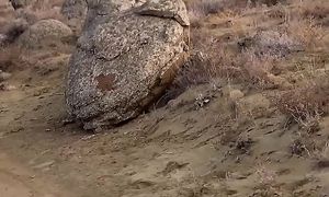 ОНИ ЖИВЫЕ! Тайна Долины Шаров Торыш #казахстан #путешествие #актау