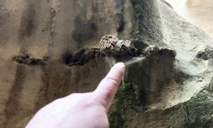 ОНО ЖИВОЕ Загадка Ущелья Ыбыкты Сай в Казахстане! #путешествие #vanlife #актау #aktau #aqtau