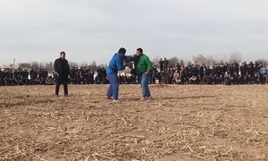 Zoxid polvonga nega bunday qildi 2 bola Qashqadaryoda katta kurash