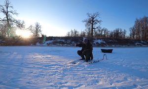 ВОЛКИ ЗАГРЫЗЛИ ЛОСЕНКА! СОБАКУ СПАСАЮ в МАШИНЕ. ЛОВЛЮ РЫБУ в ЗАПОВЕДНИКЕ.