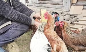 ГРЯДУТ ИЗМЕНЕНИЯ В ЖИЗНИ на краю деревни, возможен переезд в более глухое место!