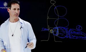 Где в теле находятся страхи и детские травмы