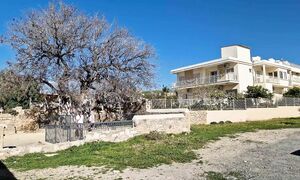 Пафос курорт в январе, история и римские руины, плантации и бананы, Старый Город и коты