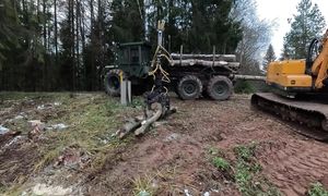 Cutting trees and building pond dam - Neighbour's pond Ep.2