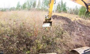 Clearing pond site and starting digging - Neighbour's pond Ep.1