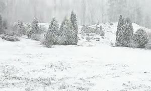 Солнце и Печь!