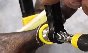 Watch how expert repairs broken horse leg