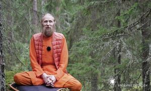 Мясо, кофе и трава. Как йоги генерируют энергию?