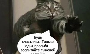 Приколы! КОГДА ночью ЗАХОТЕЛОСЬ ПИТЬ! Смешные видео - Доми шоу!