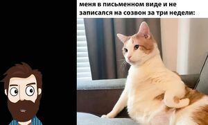 Приколы! ТРАЛАЛЕЛО ТРАЛАЛА - откуда ЭТА КОЛБАСА! Смешные видео - Доми шоу!