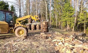 Finished with Firewood and Tree Replanting - My Homestead Ep.11