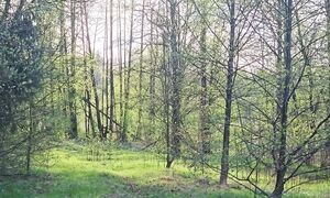 Мы выбрали жизнь в глуши на краю исчезающей деревни! Это Всё к Деньгам!