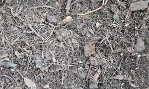 Золото огородника или компост