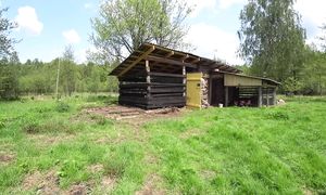 ВАС УДИВИТ КАК ЖИВУТ ЛЮДИ в ГЛУХОЙ БЕЛАРУССКОЙ ДЕРЕВНЕ. №347