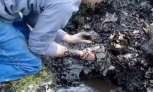 Долго они ждали нас и вот дождались.