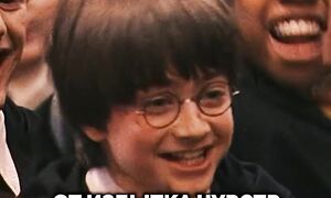 Отношение к Гарри Поттеру