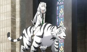tate4_5