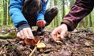 Дары лесов около деревни. Вдохновение, переосмысление и немного про любовь.