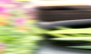 Каким был огородный сезон 2025