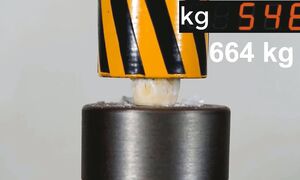 TOP INTERESTING VIDEOS WITH HYDRAULIC PRESS AND MORE