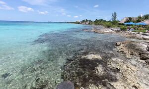 ACÁ NOS QUEDARÍAMOS A VIVIR EN MÉXICO