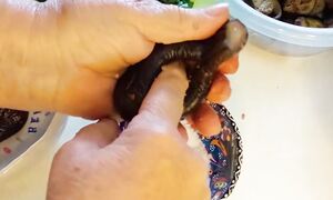 Маринованные Баклажаны и памидоры с яблочным уксусом. Готовы через 2 недели. Рецепт