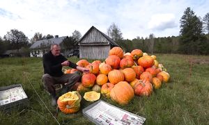БРОСИЛ ВСЕ в ГОРОДЕ и ШЕСТЬ ЛЕТ ЖИВУ в ЛЕСУ. ДИКИЕ ЖИВОТНЫЕ ПРИХОДЯТ КАЖДУЮ НОЧЬ. №363