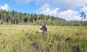 Неторопливая жизнь. Осень в деревне Беларуси, дары лесов и болот...