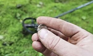 Ууууу... даже не ожидал, что они ПОЛЕЗУТ одна за одной!