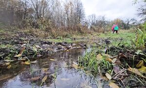 ВЁСКА. Как жить счастливо в Деревне_ Глушь, старый дом, холодные дожди - а нам тут хорошо!