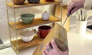 9 ноября 2025 г.