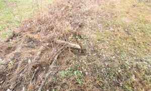 Бесплатный забор 5 лет спустя