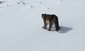 26 ноября 2025 г.