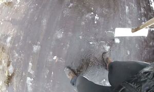 К СВЕРХ ДЕШЁВОМУ СТРОИТЕЛЬСТВУ путь от Бань до Дома за 1000