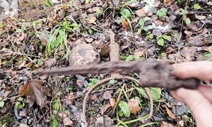 Ааааа.... ВОТ ФАРТ!!! Аж два выдрал за весь коп по войне!