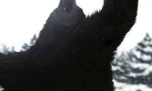 OqrosKamui_EP3
